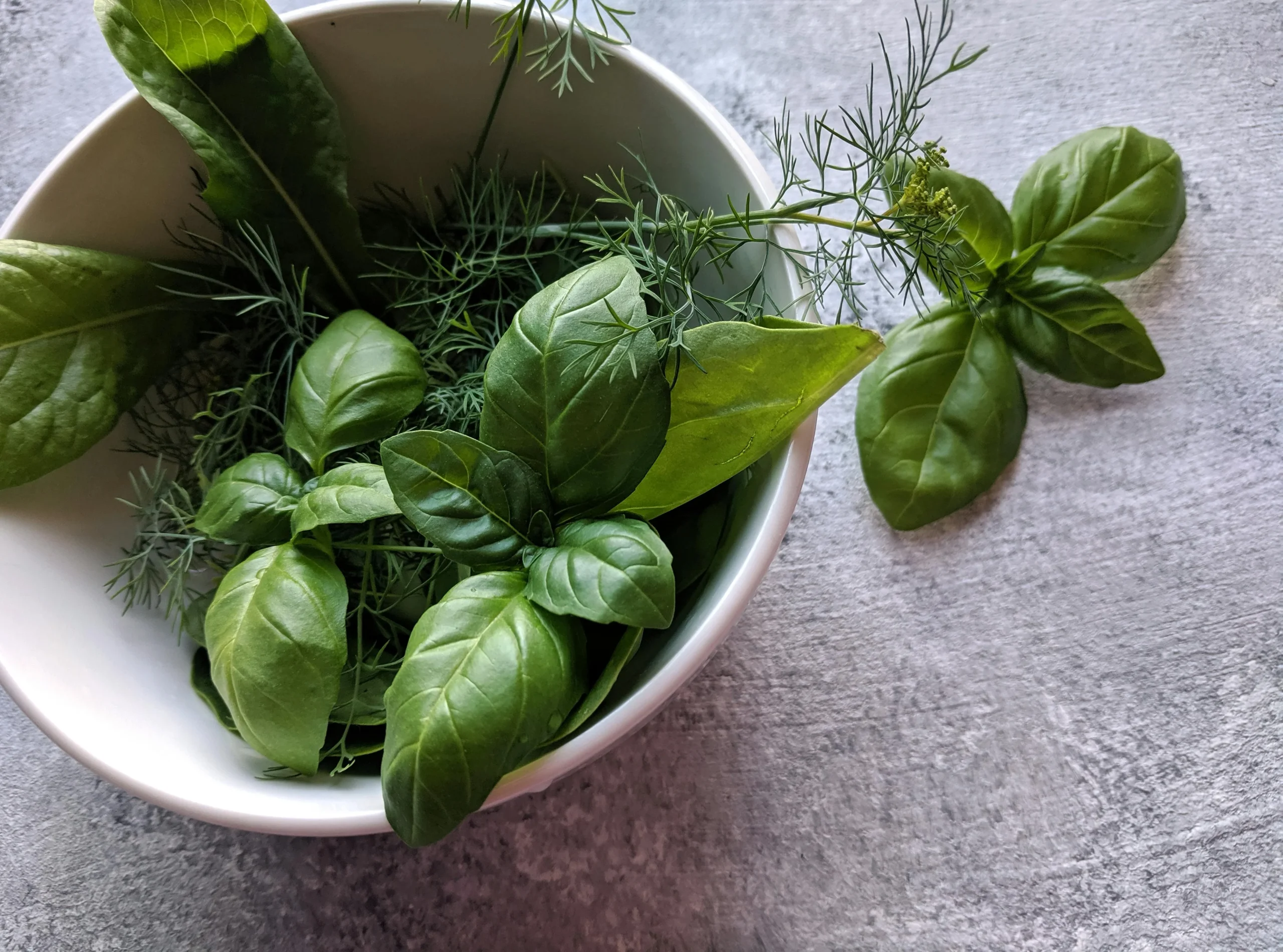 cooking-with-basil-after-learning-how-to-choose-fresh-basil-1-scaled How to Choose Fresh Basil for Better Flavor in Everyday Cooking