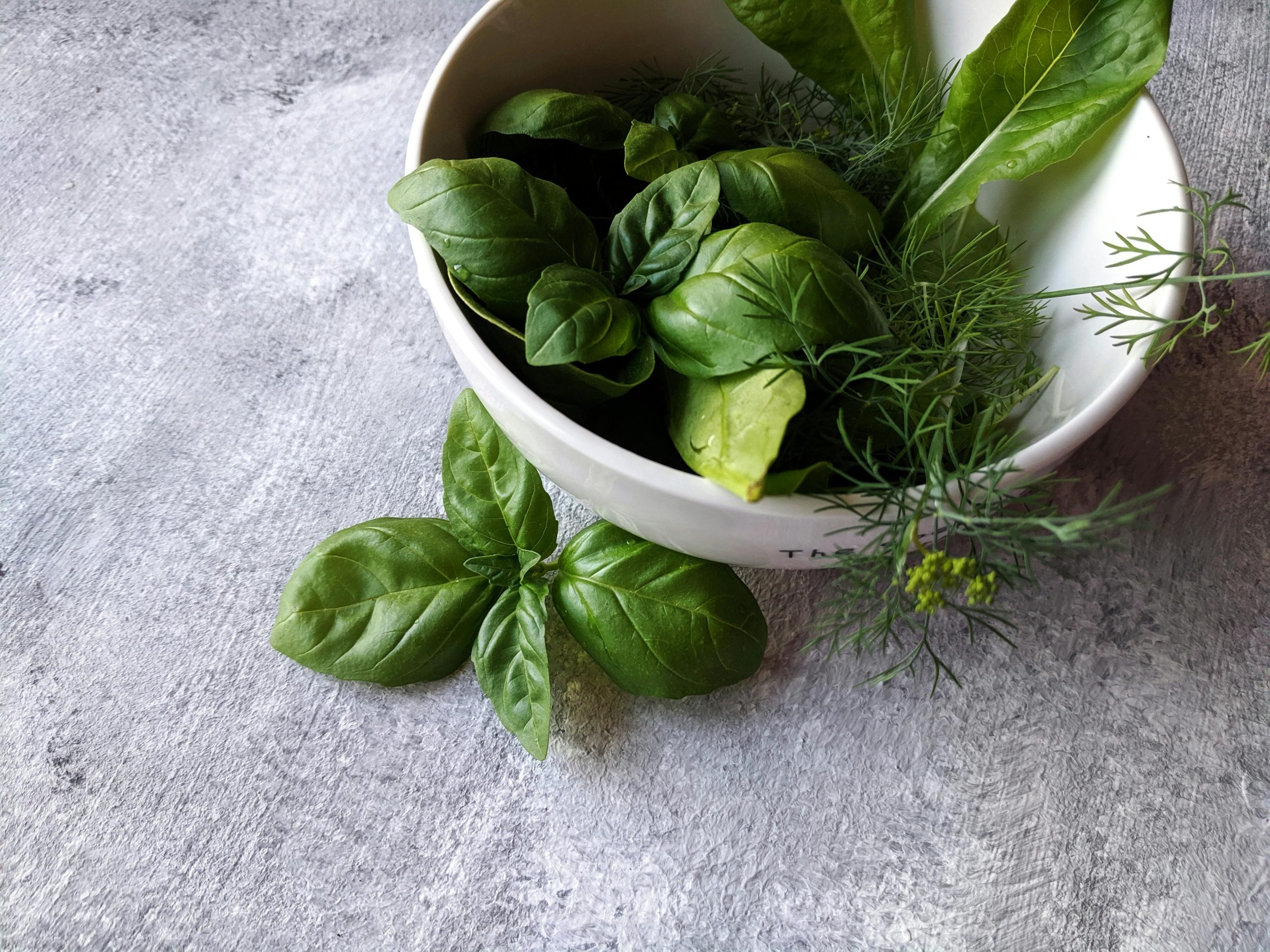 cooking with herbs after learning how to choose fresh herbs well