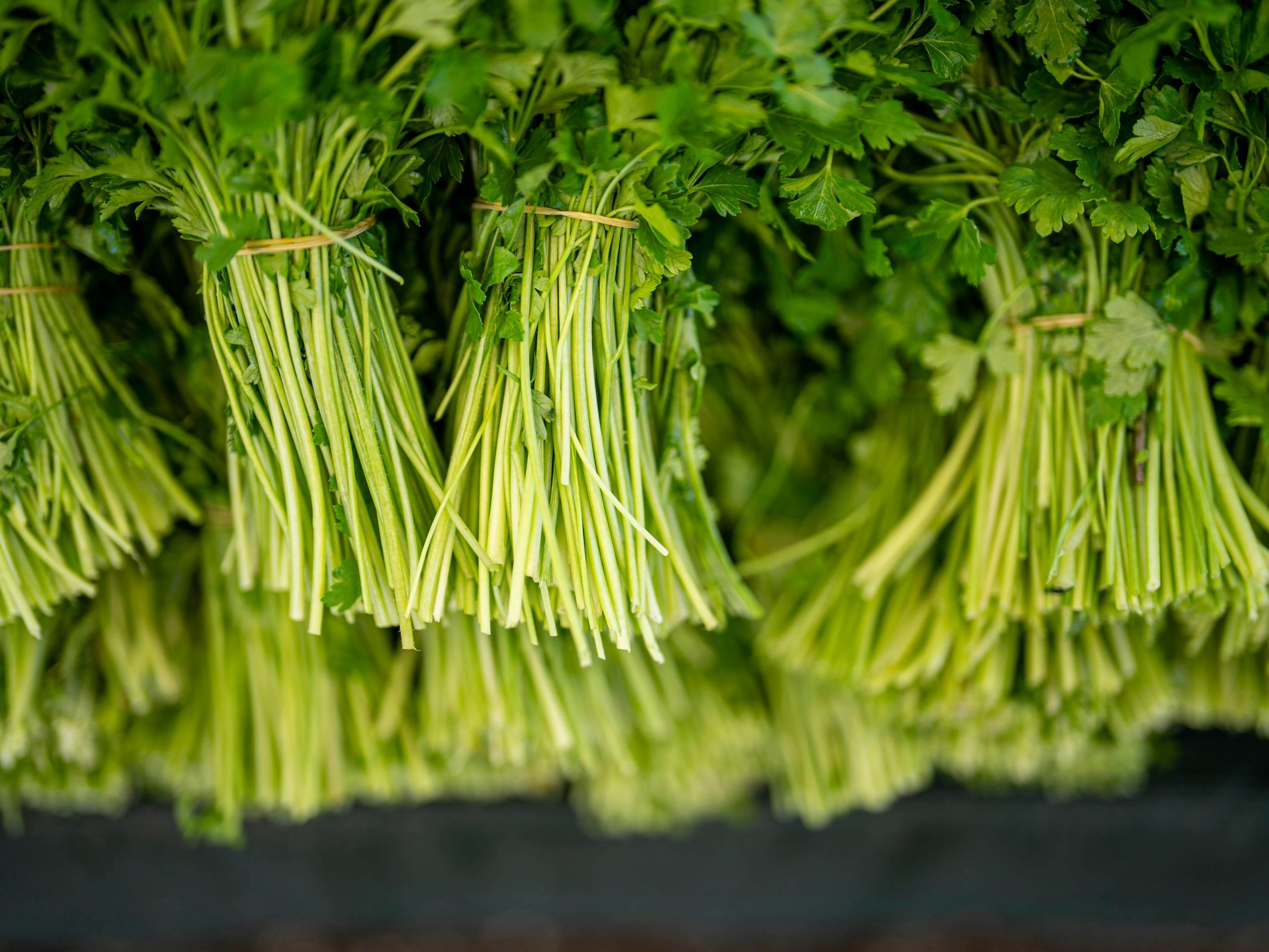 how to choose fresh herbs by checking leaf color and stem condition