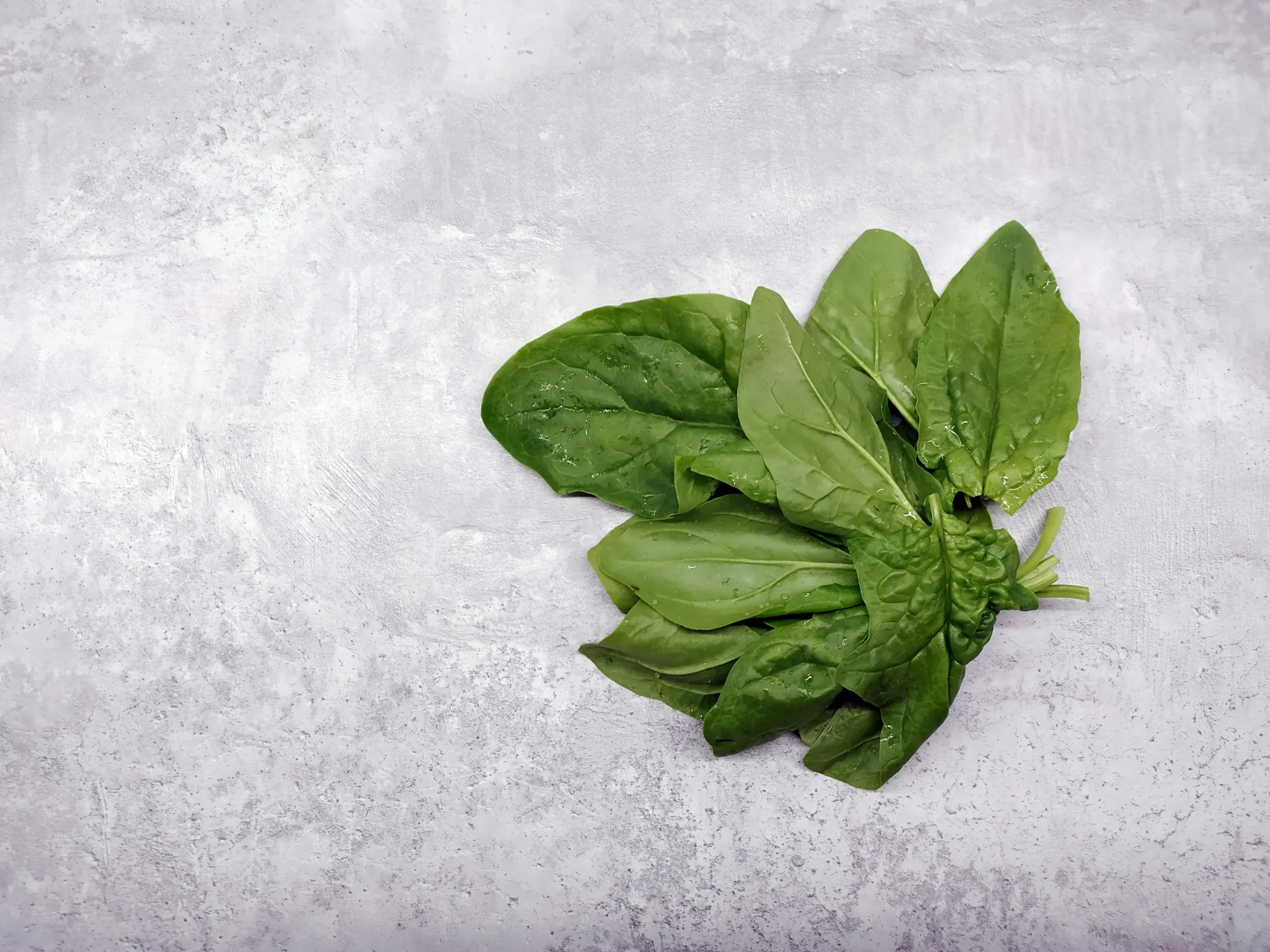 how-to-choose-fresh-spinach-by-checking-leaf-color-scaled How to Choose Fresh Spinach for Better Everyday Cooking