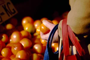 how-to-choose-fresh-tomatoes-by-checking-color-firmness-and-skin-quality-300x200 How to Choose Fresh Tomatoes for Better Flavor in Everyday Cooking
