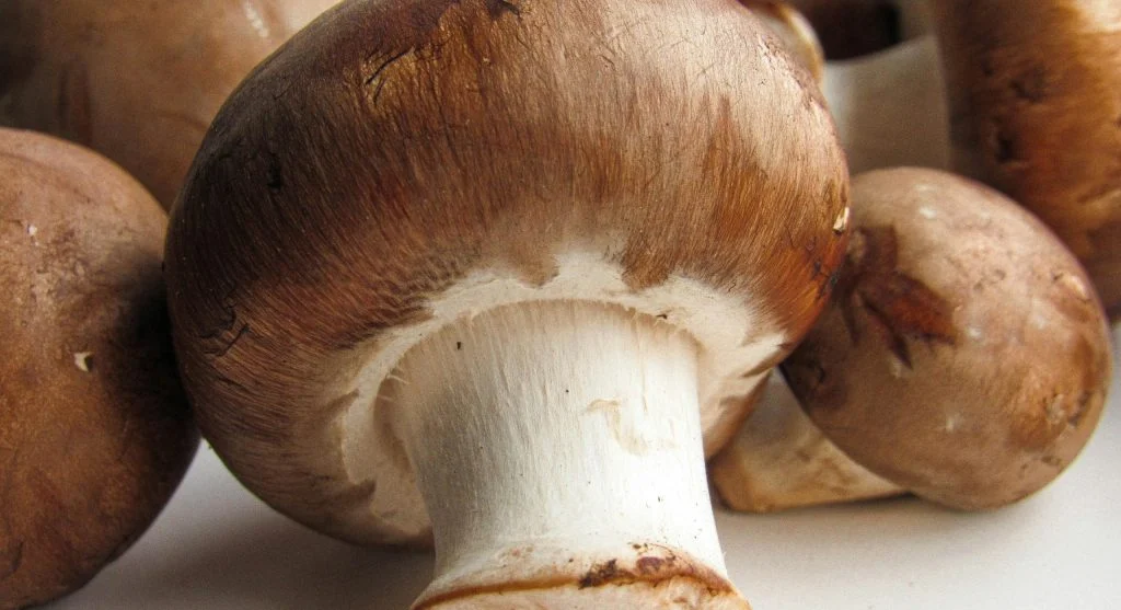 pexels-photo-14612418-scaled How to Choose Fresh Mushrooms for Better Everyday Cooking