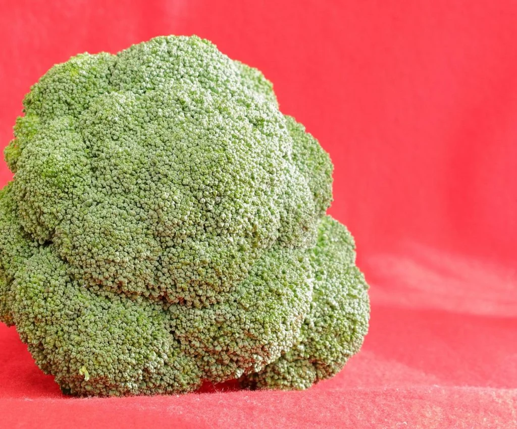 pexels-photo-32971251-scaled How to Choose Fresh Broccoli for Better Texture in Everyday Cooking