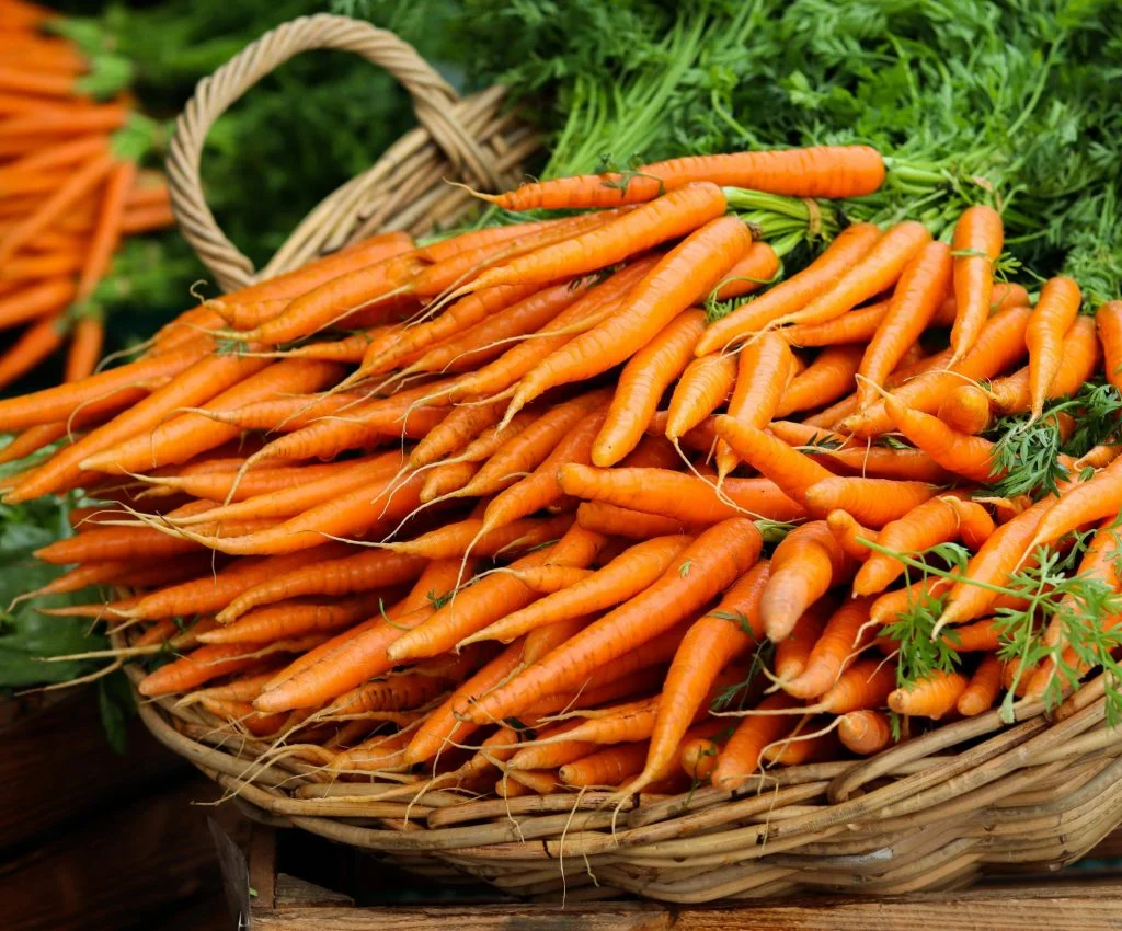 pexels-photo-3650647-scaled How to Choose Fresh Carrots for Better Texture in Everyday Cooking