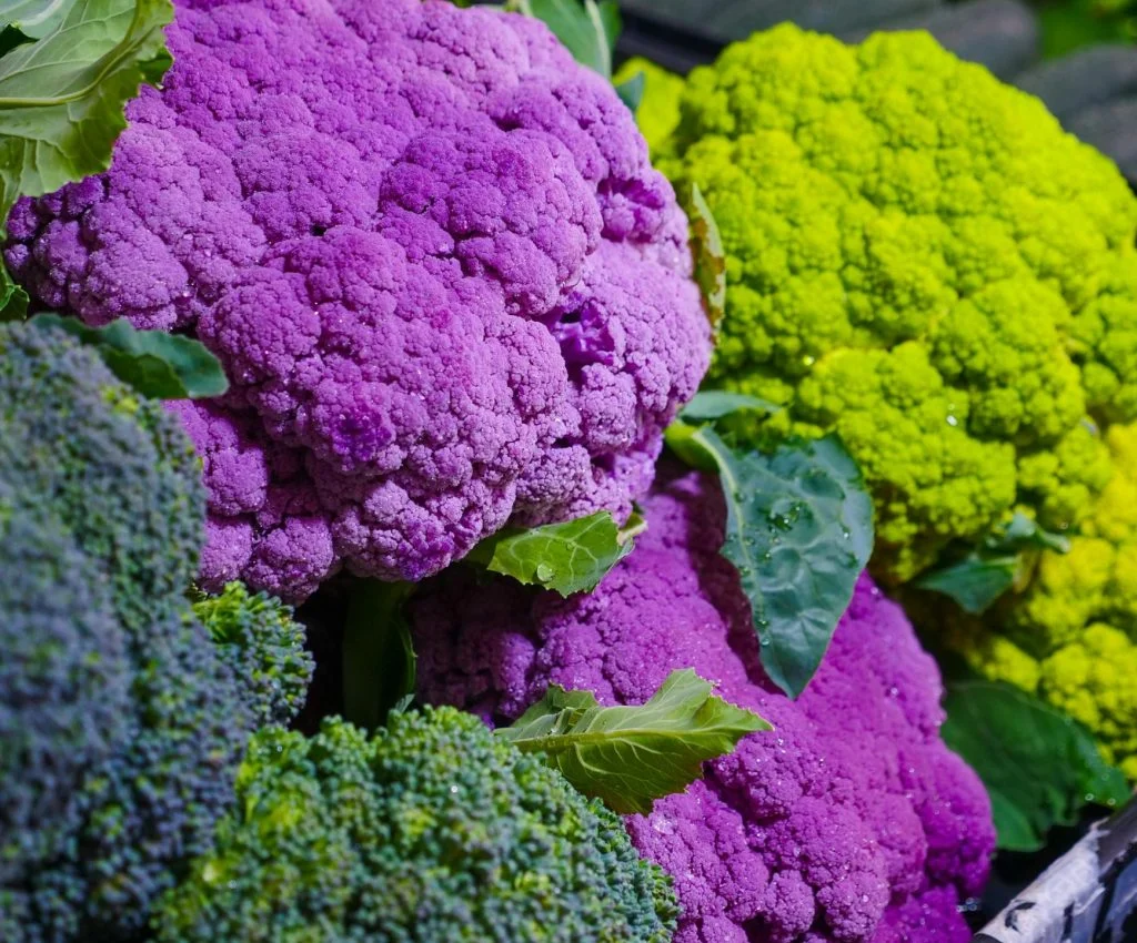 pexels-photo-7456541-scaled 7 Food Facts About Broccoli That Many Home Cooks Misunderstand