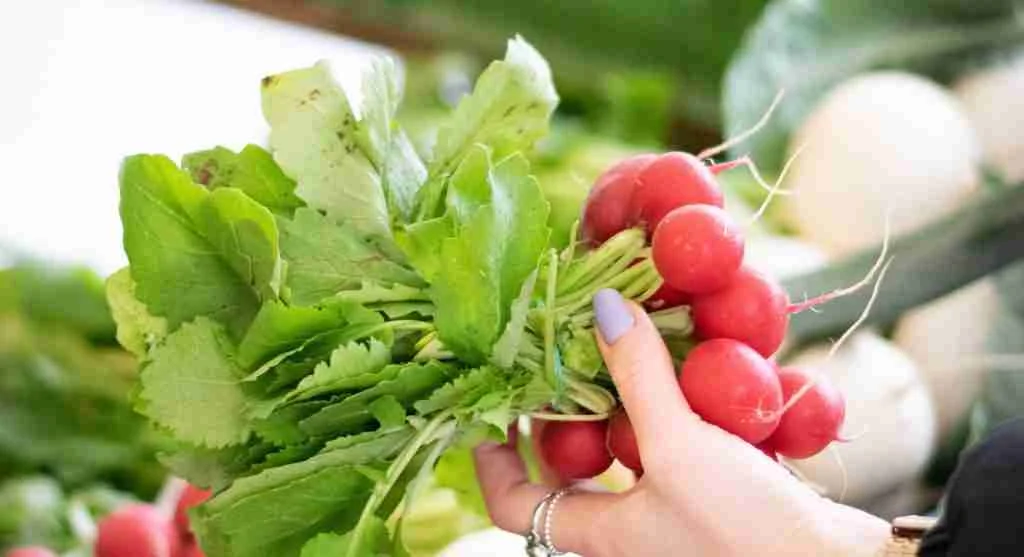 pexels-photo-10853271-scaled How to Choose Fresh Radishes for Better Crunch in Everyday Meals