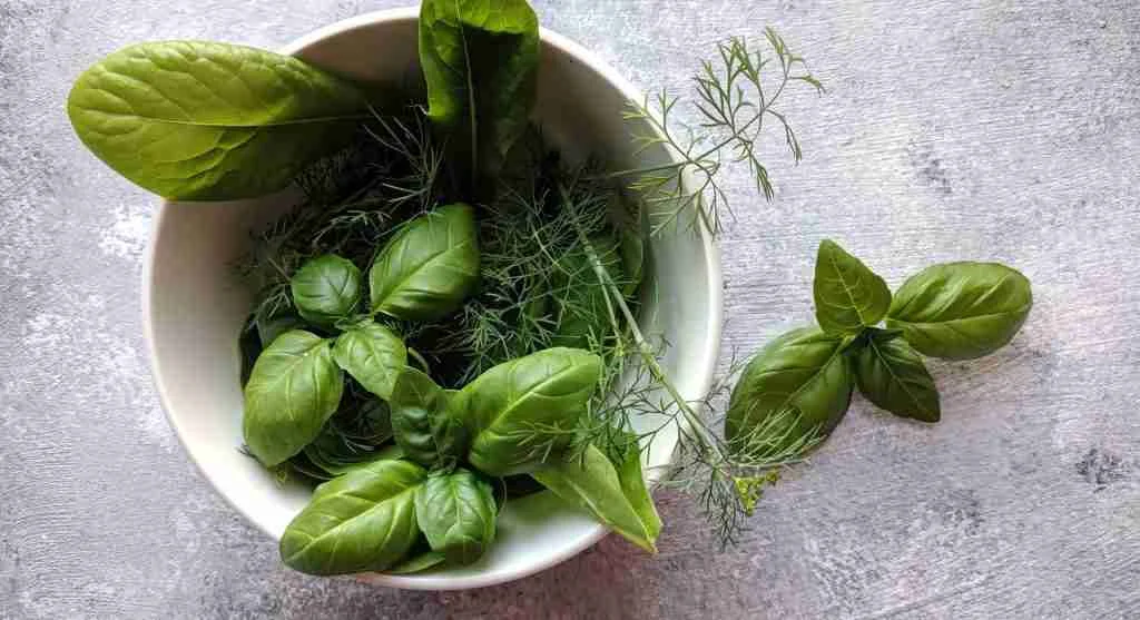 How to choose fresh herbs for cooking and everyday meals